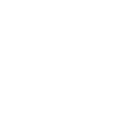 AEMIS