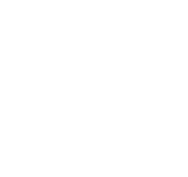 AEMIS
